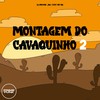 Montagem Do Cavaquinho 2 (Explicit) - DJ MENOR JSD&Prime Funk&MC RD
