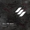 Tell Me Why (Disel Remix) - Nikita Malinin&Misha Klein&DISEL