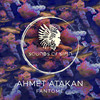 Chasser Les Pigeons (Original Mix) - Ahmet Atakan