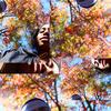 this could be us (Explicit) - Ifyyellow