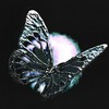 H.O.T. - Rico Nasty&Boys Noize