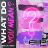 What Do You Mean? - Braaheim