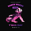 NorthWeezy Baby (T'SHA DAY Remix) - Diggy Ustle&T'SHA DAY