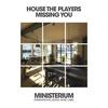 Missing You (Original Mix) - House The Players