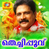 Oro dhukkavum vannethum - Sithara