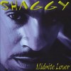 Perfect Song - Shaggy