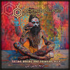 Yugen (Adrenaline Rush Remix) - OxyFlux&Aum Shanti&Goa Jonas&Adrenaline Rush