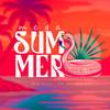 MEGA SUMMER (Explicit) - Sanchezz DJ&DJ Ari SL&DJ Katrip