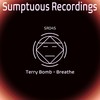 Vision - Terry Bomb