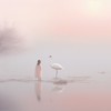 The Reflection of My Soul - Pelaez