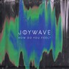 Somebody New - Joywave