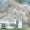 Getaway (Explicit) - Yero
