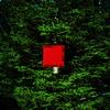 Don't Leave the Dancefloor (Explicit) - gabriel f