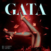 Gata - MC Luuky&MC Livinho&Dj Jb Mix