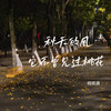 秋天的风它不曾见过桃花 - 何欢浪