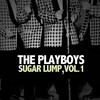 Sing Along - The Playboys