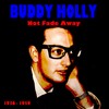 Raining in My Heart - Buddy Holly