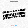 Olha La Meu X Vem Fazendo Striptease (Explicit) - MC GRINGO 22&DJ WENDREW