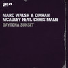 The Fallen - Marc Walsh&Ciaran McAuley