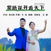 紫薇花开香天下 (男女对唱版) - 张映龙&王馨