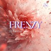 Frenzy (Till Antonio Remix) - Jil Tanner&Till Antonio