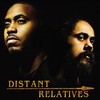 Dispear - Nas&Damian Marley