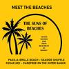 BACK TO CEDAR KEY (feat. THE SUNS OF BEACHES) - Tom Davis&THE SUNS OF BEACHES