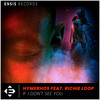 If I Don't See You (Original Mix) - Hymerhos&Richie Loop