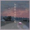 好皮囊未必好心肠 - 言川