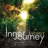 Inner Journey VI - Voxel9