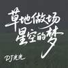 草地做场星空的梦 - DJ光光