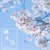 樱之泣 - ycccc