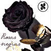 Rosas Negras - The Toxic