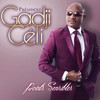 Besoin d'amour (Remix) - Gadji Celi&Nesly