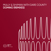 Domino (Lee Coulson Remix) - Mully&Shvman&Dare County&Lee Coulson