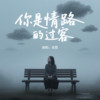 你是情路的过客 - 龙翼