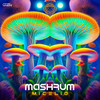 Organic Soul - Mashrum