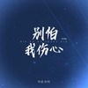 别怕我伤心 (DJ阿卓版) - 刘家奇阿