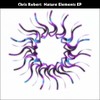 Ocean Sunset (Original Mix) - Chris Robert