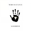 Goodbye - Who Is Fancy