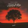 What Was I Made For - Gianluca Dimeo