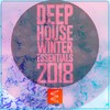 Healer (Elypsis Remix) - Gregory Esayan