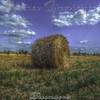 Changing Days - Stefano Giardiniere