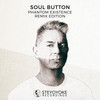 The Sparrow (Julian Wassermann Remix) - Soul Button&Mistier&Julian Wassermann