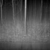 closed eyes - Alexius