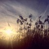Make You Feel My Love - Ane Brun