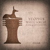 White Forest (Mark Gaetani Remix) - Yeophis