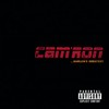 A Pimp's A Pimp (featuring Jermaine Dupri) (Album Version|Explicit) - Cam'ron&Jermaine Dupri
