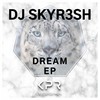 Big Room Never Dies (Original Mix) - DJ SKYR3SH