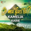 Ce Mai Faci Tu - Kamelia&Karie